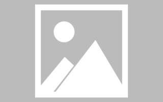 樟树论文网站建设（网站建设的论文）